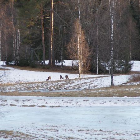 Cosy Private Cottage With Stunning View Sunne Buitenkant foto
